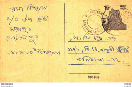 India Postal Stationery Tiger 15 Mathurakati Cds - Postcards