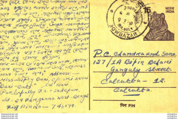 India Postal Stationery Tiger 15 Bowbazar Cds To Calcutta - Postcards