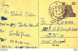 India Postal Stationery Tiger 15 To Calcutta - Postcards