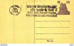 India Postal Stationery Tiger 15 New Delhi Cds - Postcards