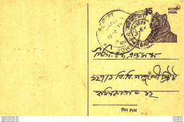 India Postal Stationery Tiger 15 - Cartoline Postali