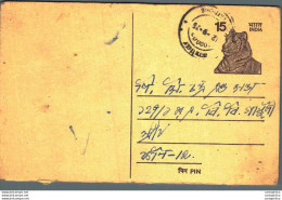 India Postal Stationery Tiger 15 - Cartoline Postali