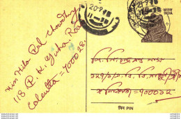 India Postal Stationery Tiger 15 - Cartoline Postali