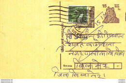 India Postal Stationery Tiger 15 - Postales