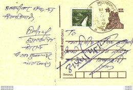 India Postal Stationery Tiger 15 - Postales