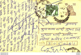 India Postal Stationery Tiger 15 Ajmer Cds - Postales