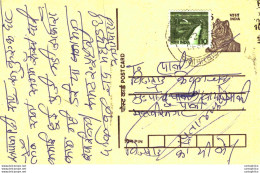 India Postal Stationery Tiger 15 - Postales