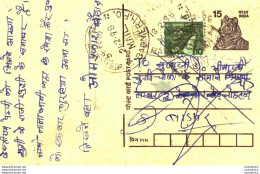India Postal Stationery Tiger 15 Barmer Cds - Postales