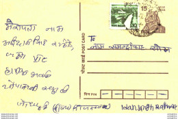 India Postal Stationery Tiger 15 - Postales