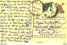 India Postal Stationery Tiger 15 Ajmer Cds - Postales