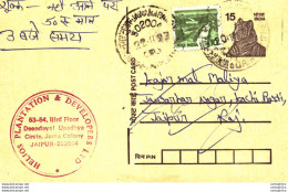 India Postal Stationery Tiger 15 Helios Plantation Developers Jaipur Cachet - Postales