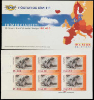 ISLAND MARKENHEFT Nr MH 0-872 Postfrisch X91A2CA - Postzegelboekjes
