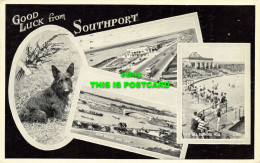 R623558 Good Luck From Southport. Dog. Valentines. Silveresque. 1962. Multi View - World