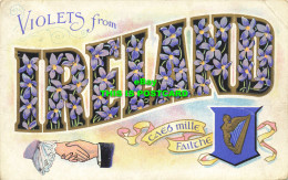R623563 Violets From Ireland. N. P. O. Belfast. Floral Series No. 4. 1908 - World