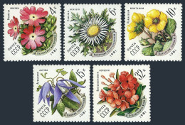 Russia 4943-4947, MNH. Michel 5074-5078. Flowers Of Carpathian Mountains, 1981. - Ongebruikt