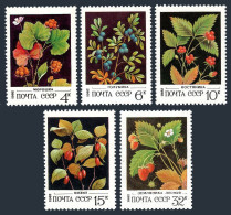 Russia 5023-5027, MNH. Michel 5155-5159. Berries, 1982. - Neufs