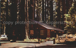 11689077 Garberville Richardson Grove State Park  - Other & Unclassified