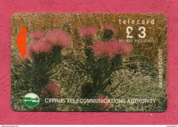 Cyprus- Telecommunications Authority- Telecard Used By 3 Lire. Akamas Forest- - Chipre