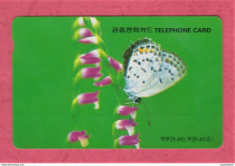 Corea Del Sud, South Korea- Used Phone Card Magnetic Band- Korea Telecom. Butterfly. - Korea (Süd)