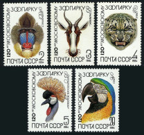 Russia 5226-5230,MNH. Moscow ZOO-120,1984. Mandrill,Gazelle,Leopard,Crane,Macaw. - Nuovi