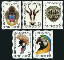 Russia 5226-5230 Blocks/4, MNH. Moscow ZOO-120, 1984. Mandrill, Gazelle,Leopard, - Unused Stamps
