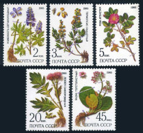 Russia 5379-5383,MNH.Michel 5528-5532. Medicinal Plants From Siberia,1985. - Unused Stamps