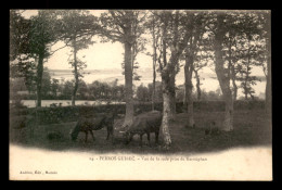 22 - PERROS-GUIREC - VUE DE LA RADE PRISE DE KERSTEPHAN - VACHES - Perros-Guirec