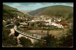 57 - LUTZELBURG - VUE GENERALE - CARTE COLORISEE - Sonstige & Ohne Zuordnung