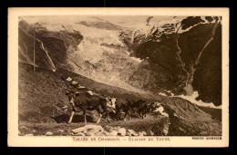 74 - VALLEE DE CHAMONIX - GLACIER DU TOURS - VACHES - Altri & Non Classificati