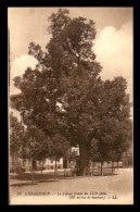 88 - GERARDMER - LE TILLEUL GEANT DU XIIIE SIECLE - ARBRE - Gerardmer