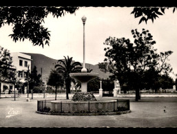 ALGERIE - COLLO - LA PLACE - VOIR ETAT - Sonstige & Ohne Zuordnung