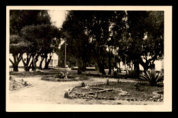 ALGERIE - CAP MATIFOU - CENTRE SIROCO - BATIMENT DUGUAY-TROUIN - Sonstige & Ohne Zuordnung