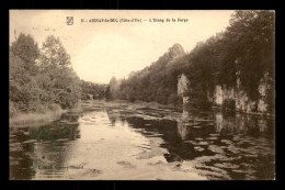 21 - ARNAY-LE-DUC - L'ETANG DE LA FORGE - Arnay Le Duc