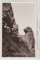 Le Mont Dore  63   Carte Non Circulée Glassée _Gorges D'Enfer Et Le Rocher De L'Ours Et Sa Caverne - Le Mont Dore