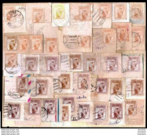 575  1981 Definitives Issue - Diff Shades Of The 5c Stamp - See Description - Cb - 3,75 - Sonstige & Ohne Zuordnung