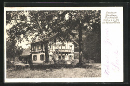 AK Landau /Pfalz, Gasthaus Forsthaus Taubensuhl  - Chasse