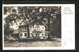 AK Landau /Pfalz, Gasthaus Forsthaus Taubensuhl  - Caccia