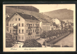 AK Wildbad, König Karlstrasse Mit Hotel De Russie  - Autres & Non Classés