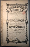 13 (Treize) Actions De Capital "Compagnie Nationale Financière" De 100 Francs Au Porteur - Banco & Caja De Ahorros