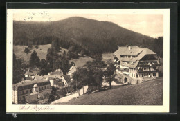 AK Bad Rippoldsau, Panoramablick Von Der Bergwiese  - Autres & Non Classés