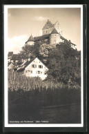 AK Meersburg /Bodensee, Altes Schloss Mit Weinreben  - Meersburg