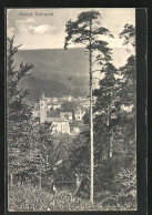 AK Eichwald, Ortsansicht Vom Hügel Aus  - Tchéquie