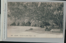 ALGER  Un Coin Du Jardin D'Essai   (2024 Avril 317)  - Algiers