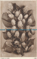 R024415 A Bunch Of Hops Sweetman. Solograph. No 4569. 1953 - Welt