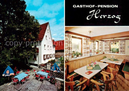 73863366 Lauf Pegnitz Gasthof Pension Herzog Gastraum Terrasse Lauf Pegnitz - Lauf