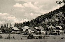 73829645 Hinterzarten Sickinger Weg Hinterzarten - Hinterzarten