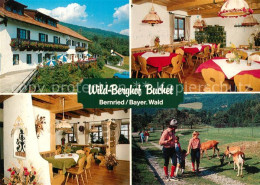 73323163 Bernried Niederbayern Wild-Berghof Buchet Wild Bernried Niederbayern - Autres & Non Classés