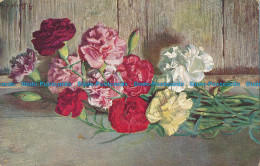 R025187 Old Postcard. Carnations - World