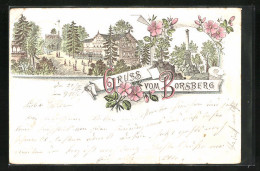 Lithographie Borsberg, Gasthaus Und Aussichtstürmchen Auf Gipfel  - Autres & Non Classés