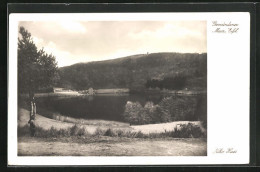 AK Daun / Eifel, Gemündener Maar  - Daun